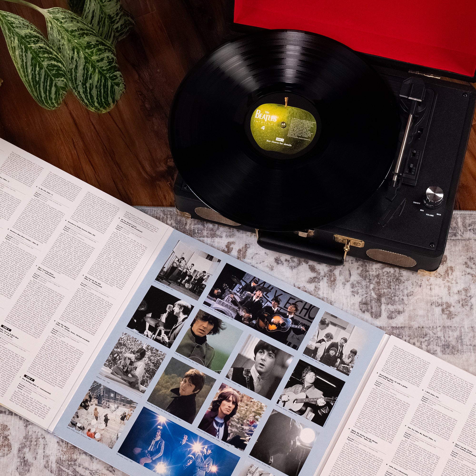 Anthology Collection (2025 Edition) + Limited, Numbered Photo Art Card Set: 12LP Boxset - Image 3
