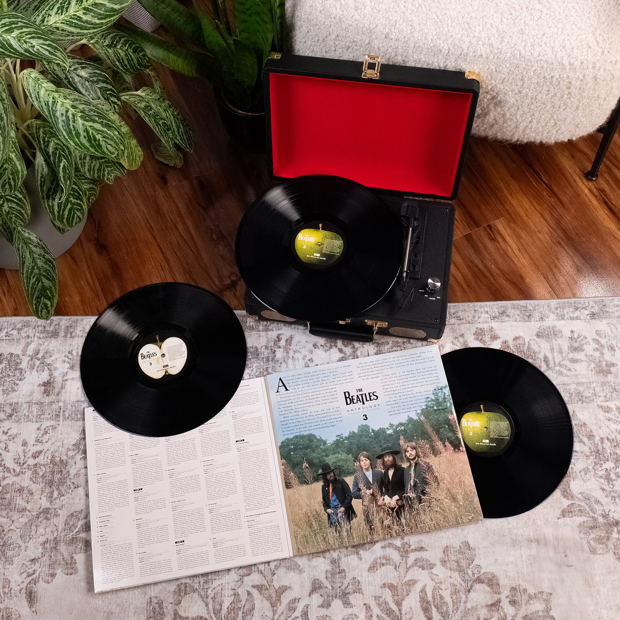 Anthology Collection (2025 Edition) + Limited, Numbered Photo Art Card Set: 12LP Boxset - Image 4
