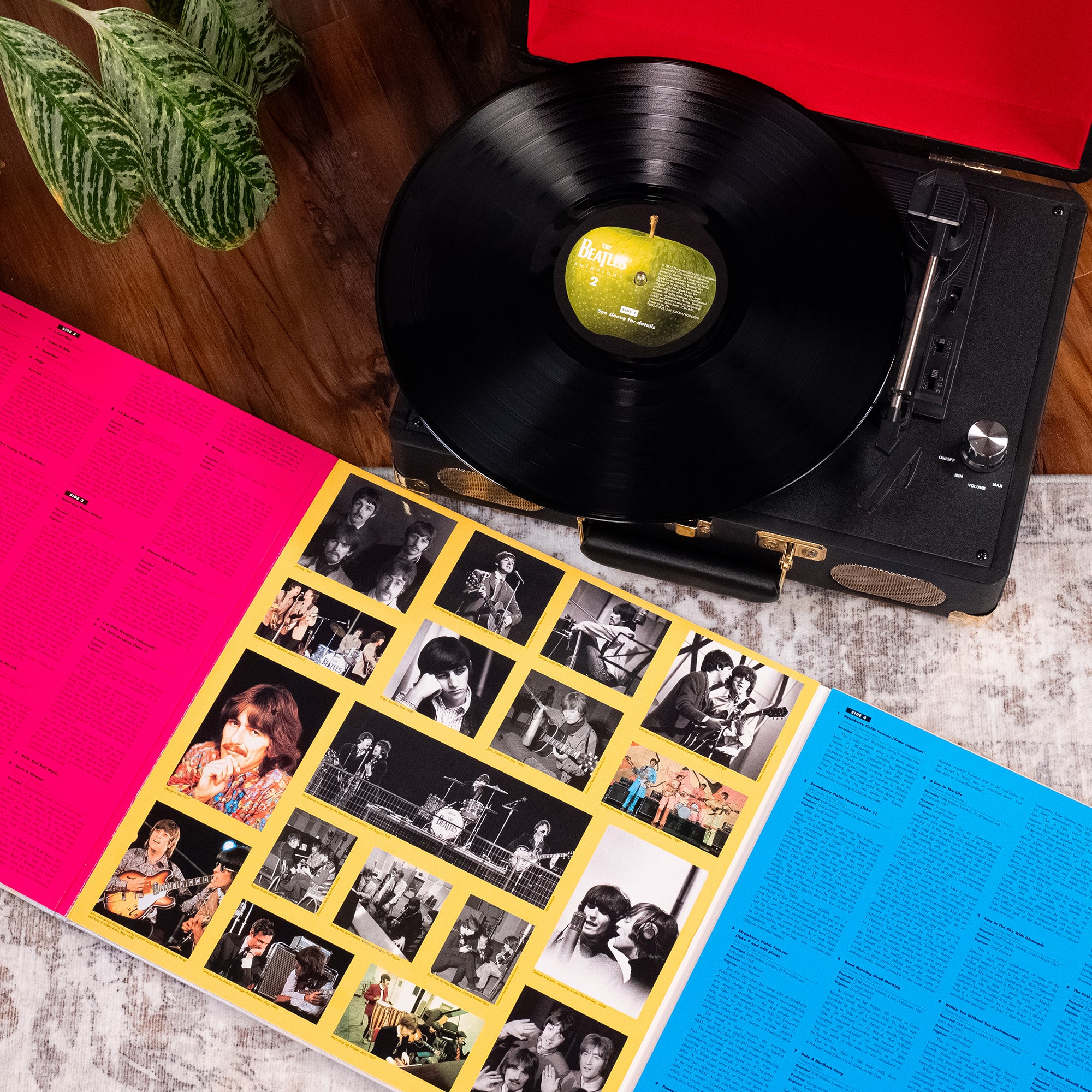 Anthology Collection (2025 Edition) + Limited, Numbered Photo Art Card Set: 12LP Boxset - Image 5